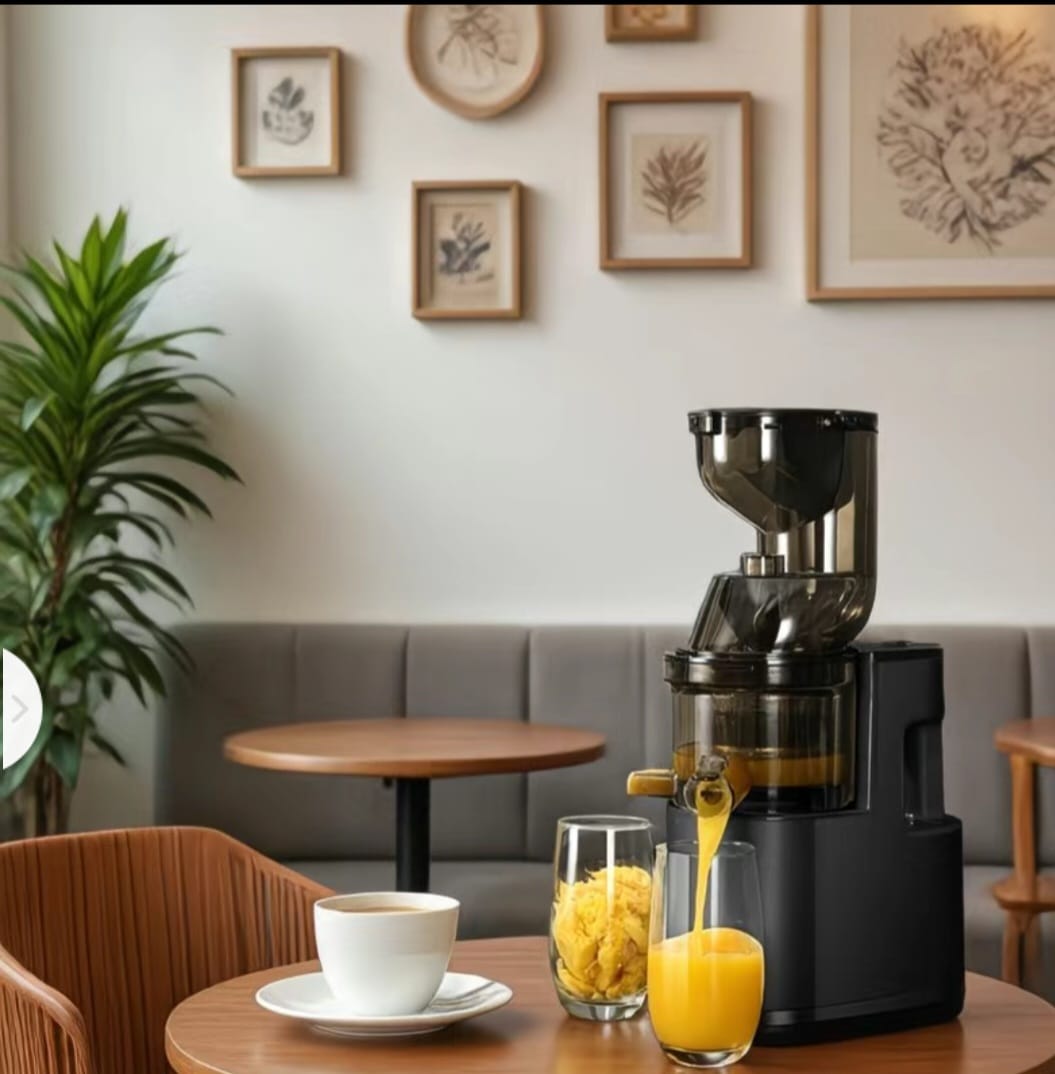Premium Cold Press Slow Juicer